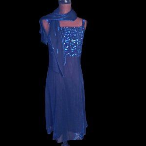 Formal Blue Dress, Midi Dress, Party Dress, Betsy and Adam by Jaslene, Size 14